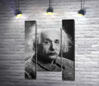 Модульная картина "Портрет гениального физика Альберта Эйнштейна (Albert Einstein)"