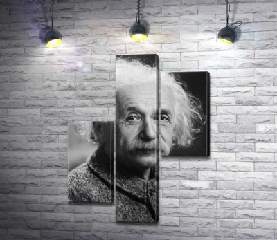 Модульная картина "Портрет гениального физика Альберта Эйнштейна (Albert Einstein)"