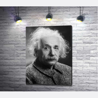 Портрет гениального физика Альберта Эйнштейна (Albert Einstein)