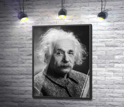 Постер "Портрет гениального физика Альберта Эйнштейна (Albert Einstein)"