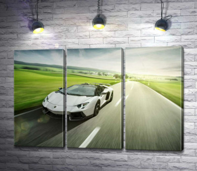 Модульна картина "Білий Lamborghini Aventador Roadster мчить повз зелені поля"