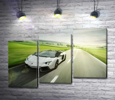 Модульная картина "Белый Lamborghini Aventador Roadster несется мимо зеленых полей"