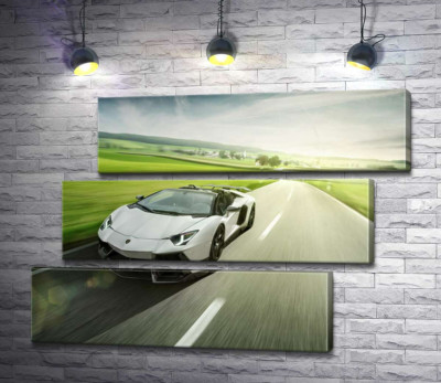 Модульна картина "Білий Lamborghini Aventador Roadster мчить повз зелені поля"