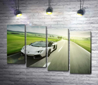 Модульная картина "Белый Lamborghini Aventador Roadster несется мимо зеленых полей"