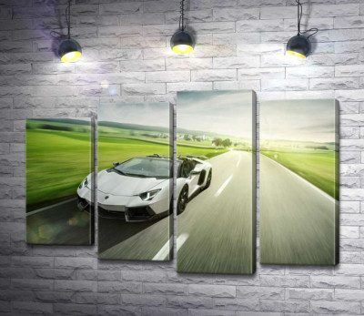 Модульна картина "Білий Lamborghini Aventador Roadster мчить повз зелені поля"