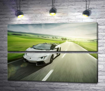 Білий Lamborghini Aventador Roadster мчить повз зелені поля