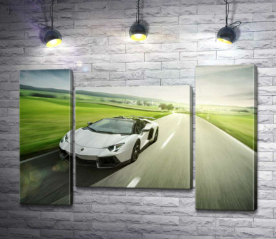 Модульна картина "Білий Lamborghini Aventador Roadster мчить повз зелені поля"