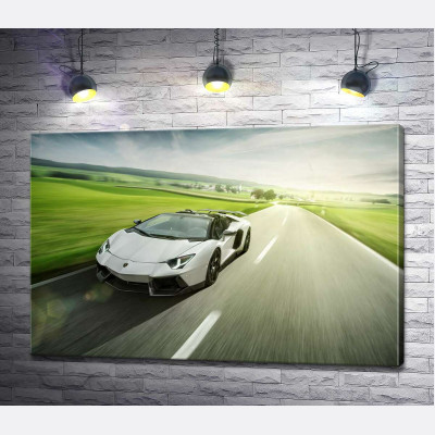 Білий Lamborghini Aventador Roadster мчить повз зелені поля
