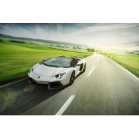 Белый Lamborghini Aventador Roadster несется мимо зеленых полей
