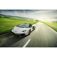 Білий Lamborghini Aventador Roadster мчить повз зелені поля
