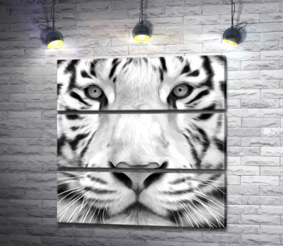 Черные полоски на морде белого бенгальского тигра