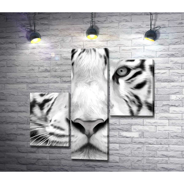 Черные полоски на морде белого бенгальского тигра