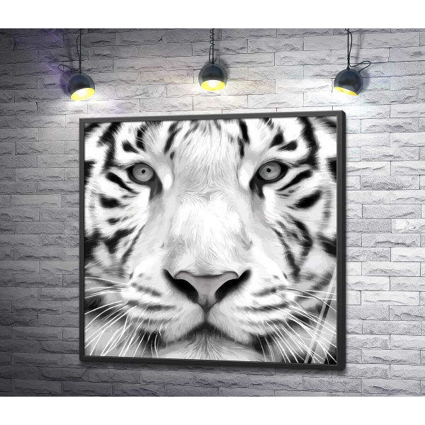 Чорні смужки на морді білого бенгальського тигра