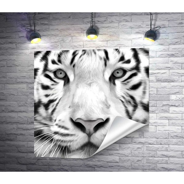 Чорні смужки на морді білого бенгальського тигра