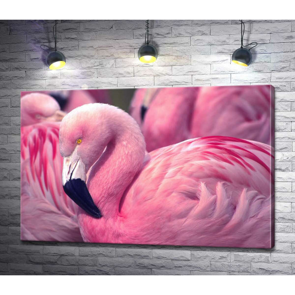 Розовый фламинго стоит среди стаи птиц