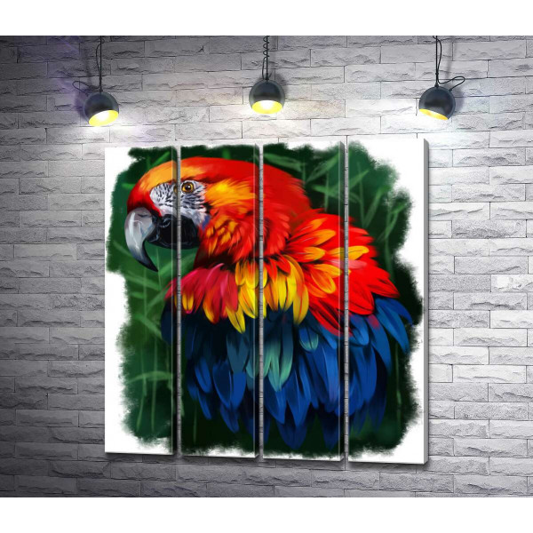 Шелковая красота перьев яркого попугая ара