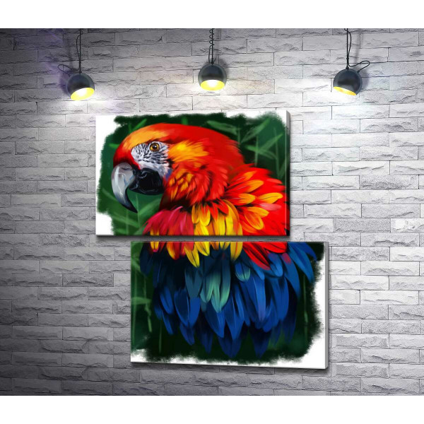 Шелковая красота перьев яркого попугая ара