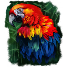 Шовкова краса пір'їн яскравого папуги ара