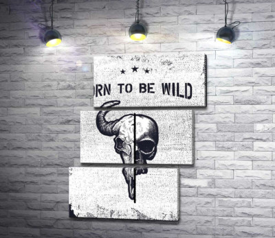 Єднання черепів людини та бика під фразою "born to be wild"