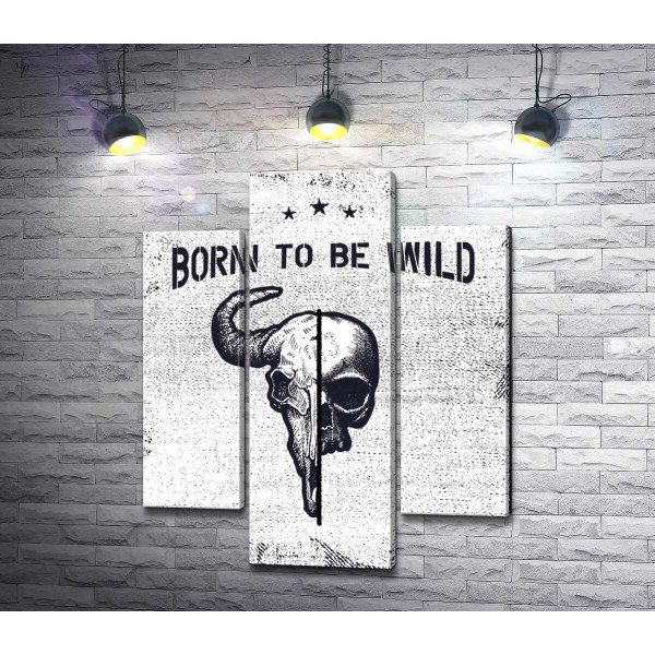 Єднання черепів людини та бика під фразою "born to be wild"