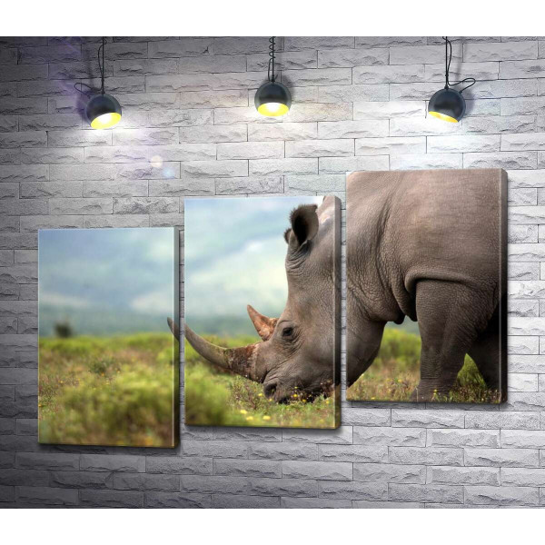 Спокій природи у силуеті носорога