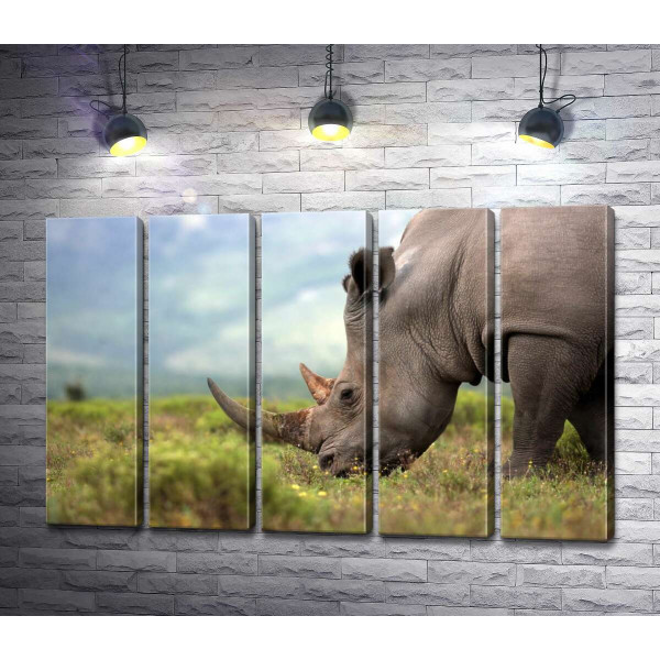 Спокій природи у силуеті носорога