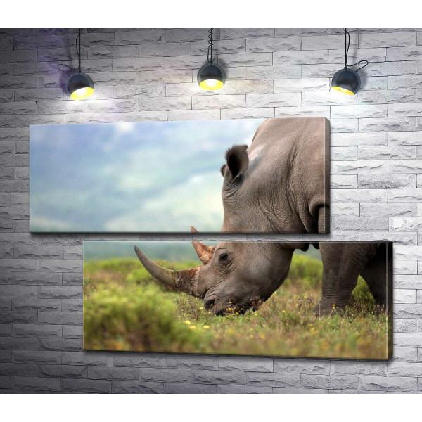 Покой природы в силуэте носорога