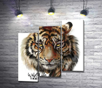 Модульна картина "Пронизливий погляд тигра поряд з написом "wild life tiger""
