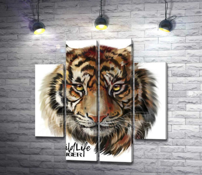 Пронизливий погляд тигра поряд з написом "wild life tiger"