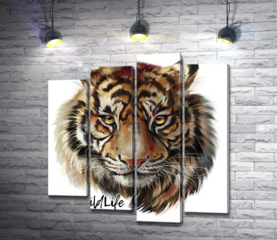 Модульна картина "Пронизливий погляд тигра поряд з написом "wild life tiger""