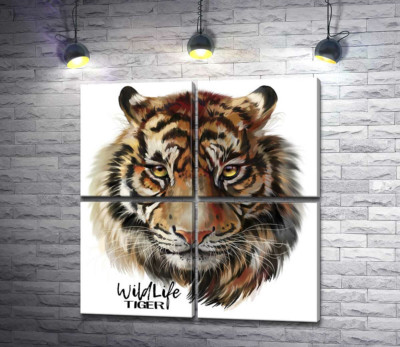 Модульная картина "Пронзительный взгляд тигра рядом с надписью "wildlife tiger""