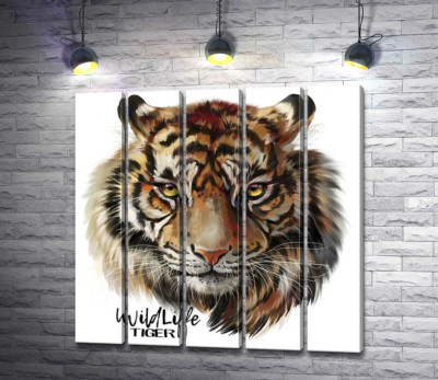 Модульна картина "Пронизливий погляд тигра поряд з написом "wild life tiger""