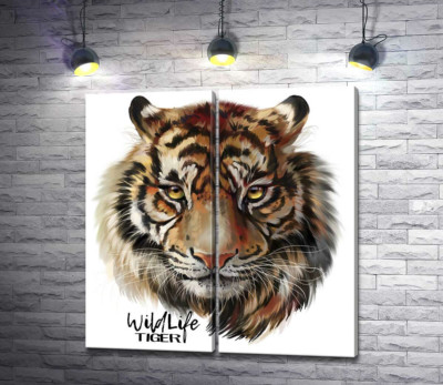 Модульная картина "Пронзительный взгляд тигра рядом с надписью "wildlife tiger""