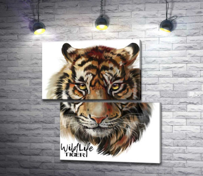 Модульна картина "Пронизливий погляд тигра поряд з написом "wild life tiger""