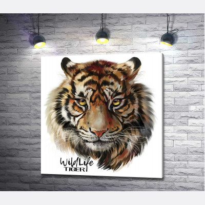 Пронизливий погляд тигра поряд з написом "wild life tiger"