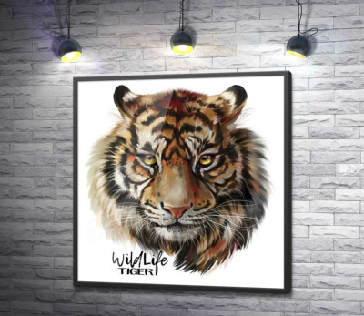 Постер "Пронзительный взгляд тигра рядом с надписью "wildlife tiger""