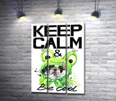 Модульная картина "Костюм зеленой лягушки на мопсе возле фразы "keep calm and be cool""