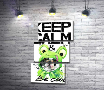 Модульная картина "Костюм зеленой лягушки на мопсе возле фразы "keep calm and be cool""