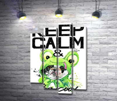 Костюм зеленої жаби на мопсі біля фрази "keep calm and be cool"