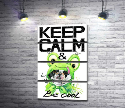 Костюм зеленой лягушки на мопсе возле фразы "keep calm and be cool"