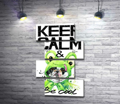 Модульная картина "Костюм зеленой лягушки на мопсе возле фразы "keep calm and be cool""