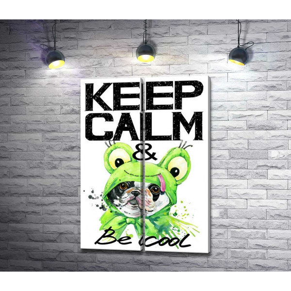 Костюм зеленої жаби на мопсі біля фрази "keep calm and be cool"