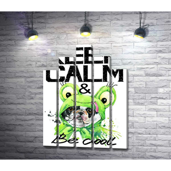 Костюм зеленой лягушки на мопсе возле фразы "keep calm and be cool"