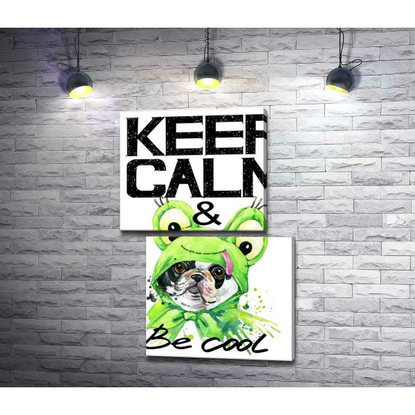 Костюм зеленої жаби на мопсі біля фрази "keep calm and be cool"