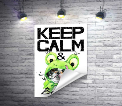 Костюм зеленой лягушки на мопсе возле фразы "keep calm and be cool"