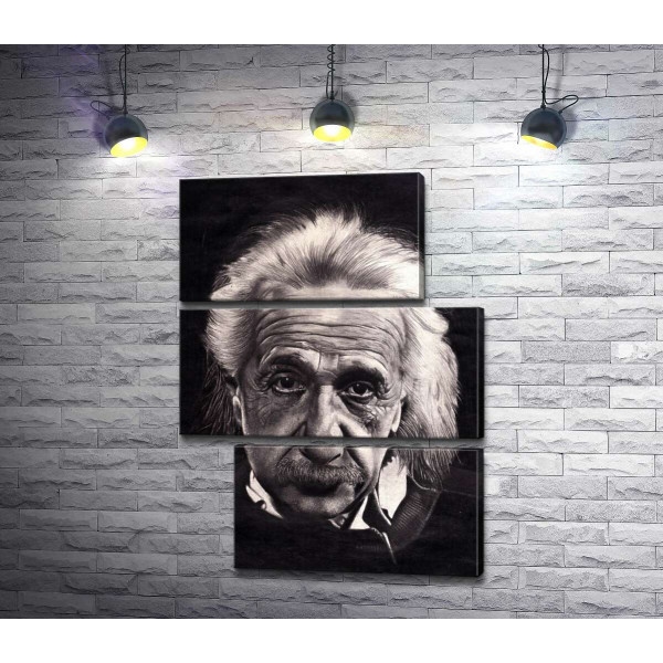 Известный физик Альберт Эйнштейн (Albert Einstein)