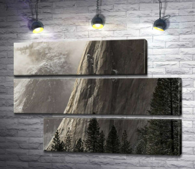 Прямовисна скеля Ель Капітан (El Capitan) стоїть перед стрункими соснами