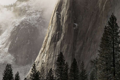 Прямовисна скеля Ель Капітан (El Capitan) стоїть перед стрункими соснами