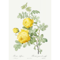 Винтажная ветка желтых роз