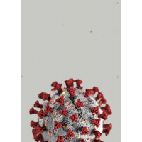Модель строения коронавируса
